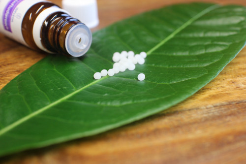 „Grundlagen der Homöopathie“ – meine Erfahrungen mit dem Online-Kurs für Laien