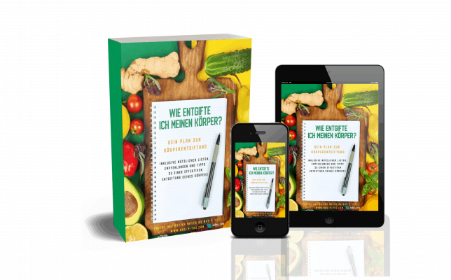 „Wie entgifte ich meinen Körper?“ - Top-Tipps und Strategien für Gesundheit und Wohlbefinden - meine Erfahrungen mit dem E-Book