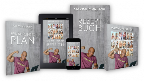 „MAXIMUMPRINZIP“ von Coach Cecil, Profi-Basketballspieler der 1. Bundesliga - meine Erfahrungen